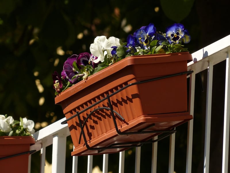 Garden Boxes